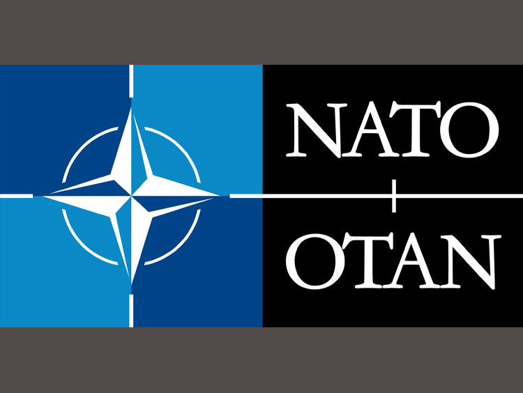 NATO 3.0: Alliance or military-industrial investment fund?